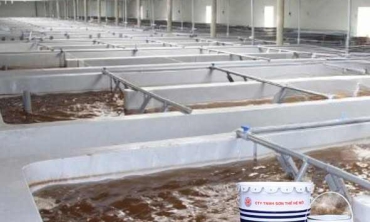 Bí Quyết Chống Thấm Cho Hồ Nuôi Tôm, Hồ Xi Măng Hiệu Quả - Bền Vững