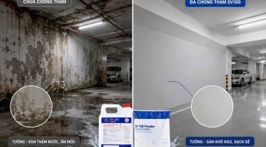 Sơn Chống Thấm cho tầng hầm